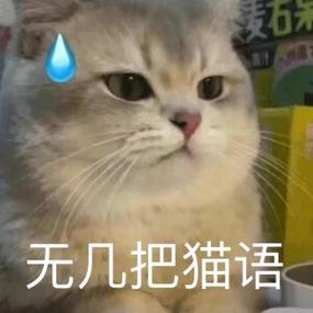 叫猫咪过来的喵语