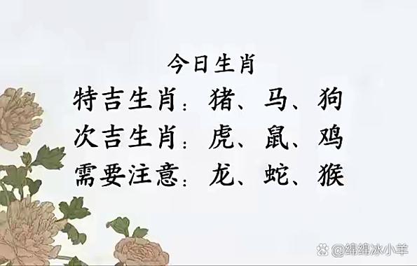 浮图塔今日特吉生肖