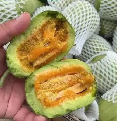 芝麻蜜香瓜简介