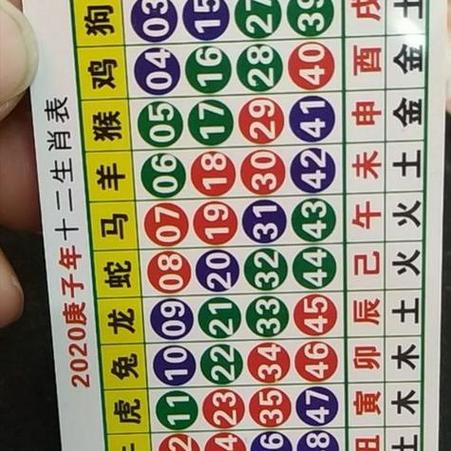 十二生肖买马开奖查询