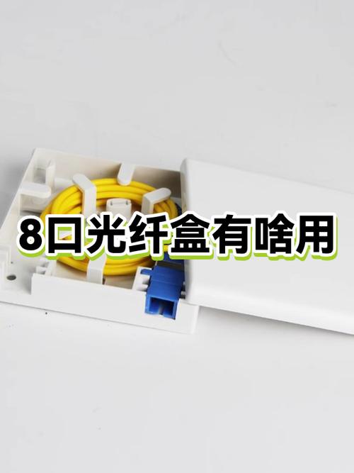 8号盒子有啥