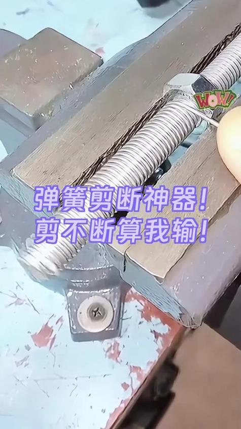 高中物理剪断弹簧问题
