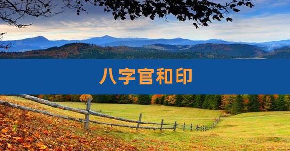 有官无印怎么办