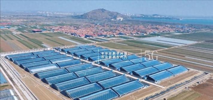 丰年年农业科技有限公司