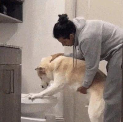 拥抱拍背的表情包