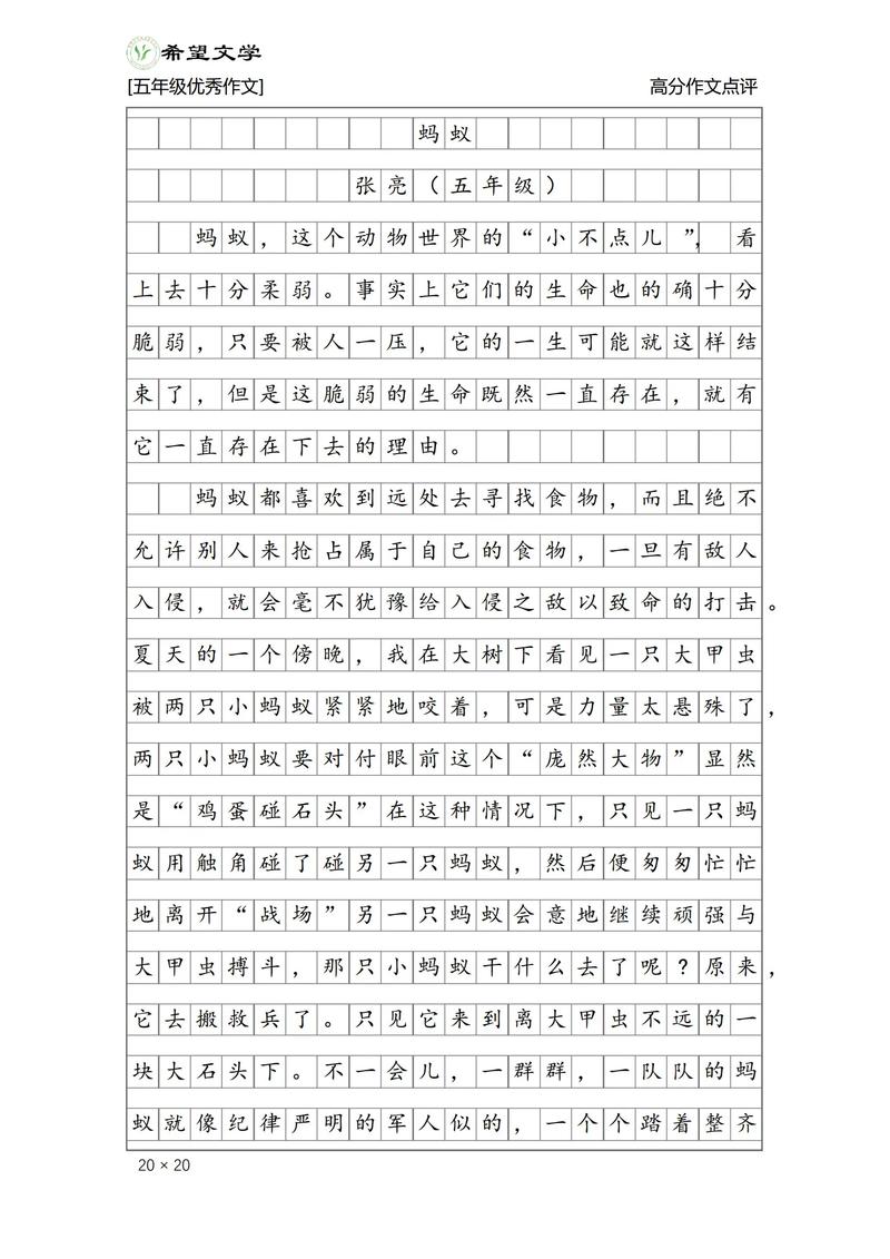 蚂蚁变大大想写的作文