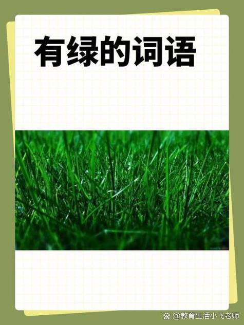 骨绿绿类似词语