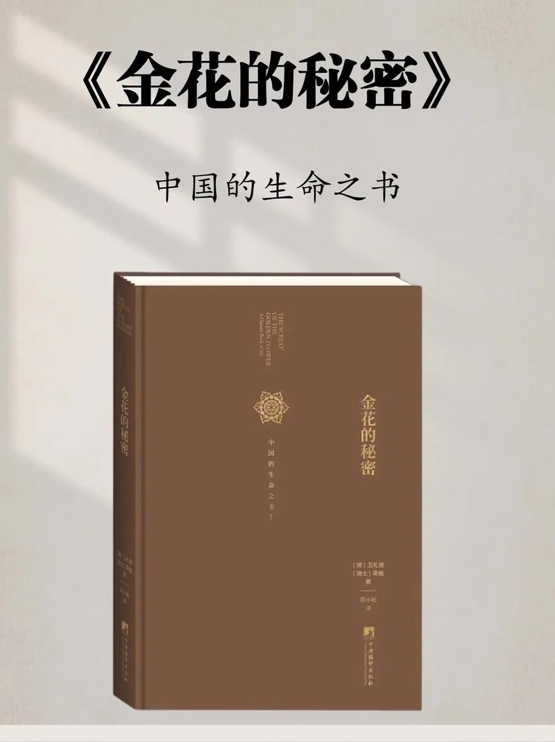 金花的秘密全文免费阅读