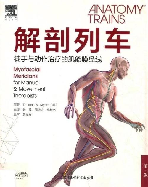 筋膜提升多久恢复