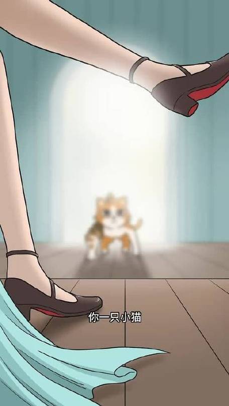 猫猫侠搞笑视频