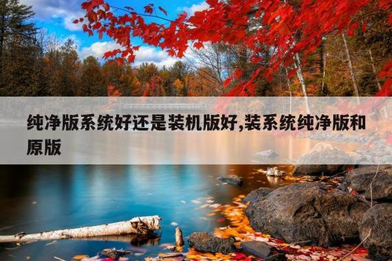 装机版和纯净版哪个好图标