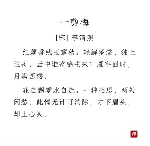 琵琶弹奏《一剪梅》截图