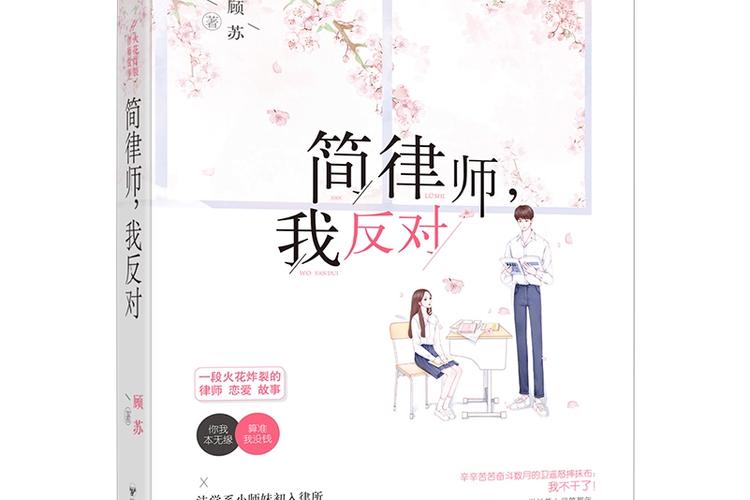 简律师我反对第6章