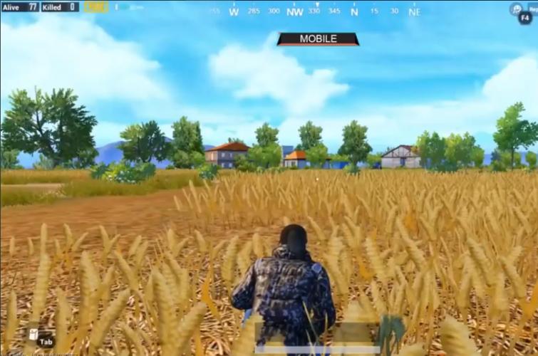 念念爱玩PUBG