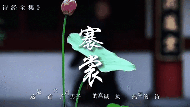 诗经褰裳