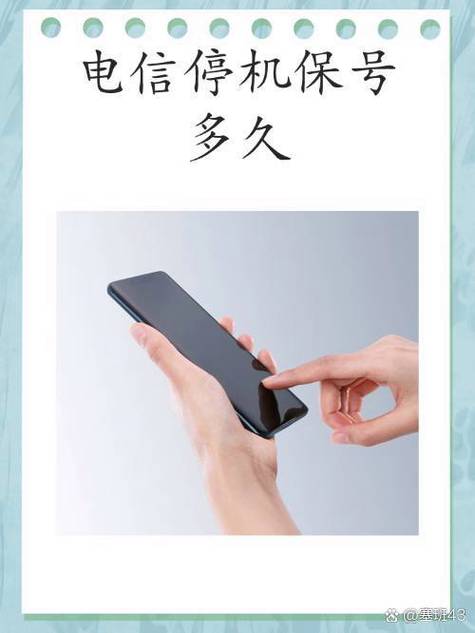停机保号是月初还是月末好