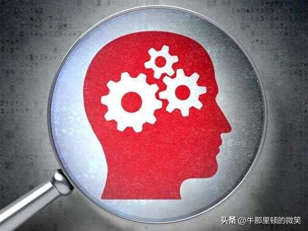 认知突围拆掉管理思维的墙