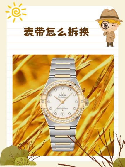天梭换表带教程