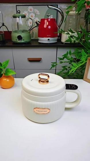 微型小电饭锅