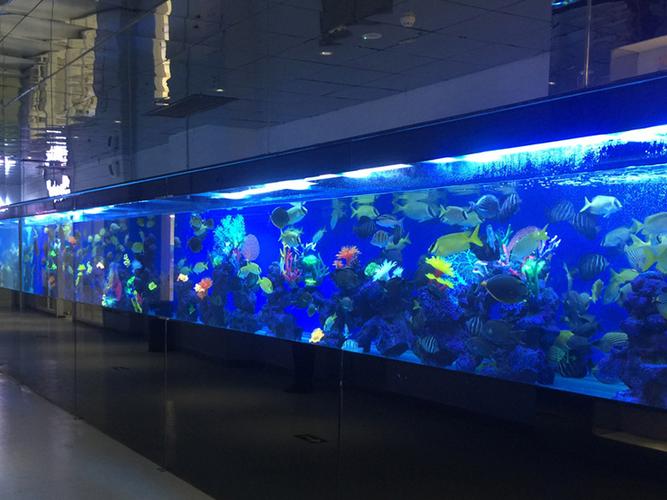 南京水族用品博览会