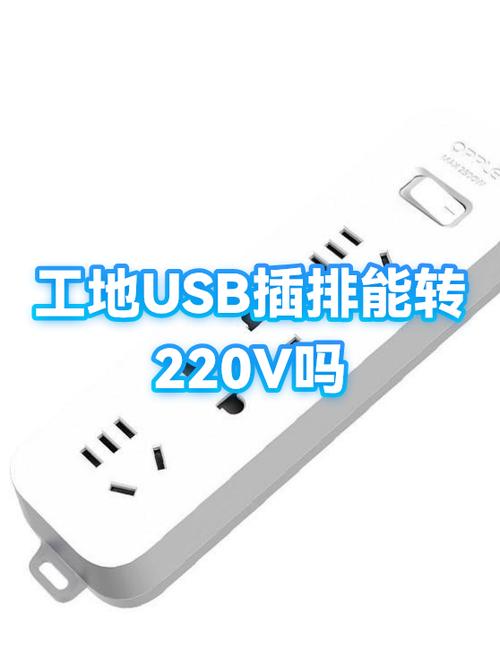 usb接口能转换成220v的插座吗游戏截图