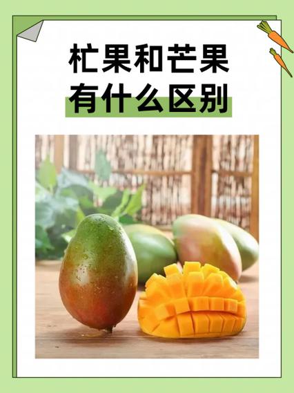 杧果和芒果有什么区别