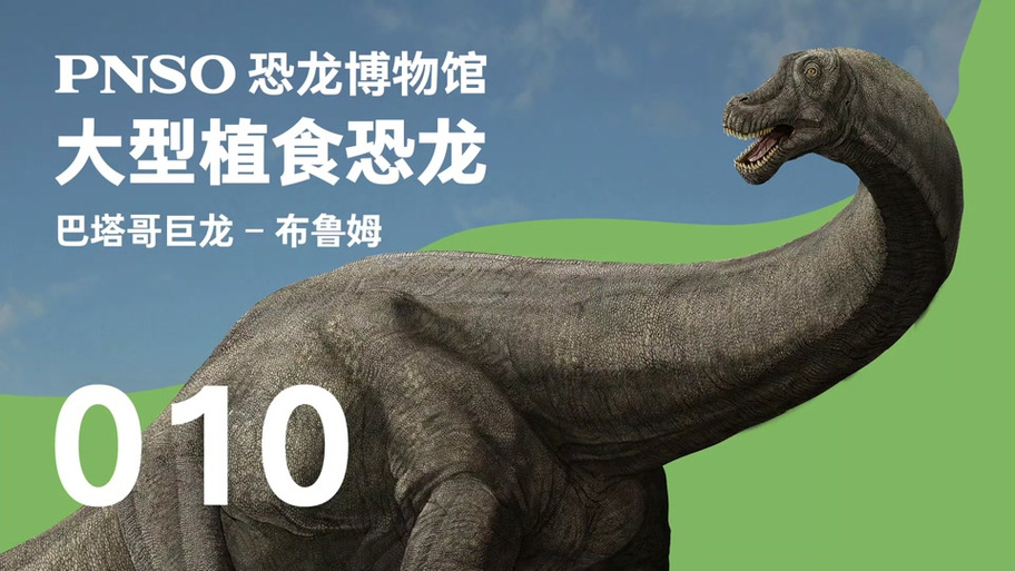 巨龙为战争而来