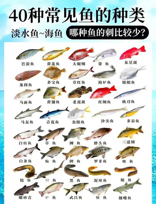 咸鱼之王悬赏活动对照表