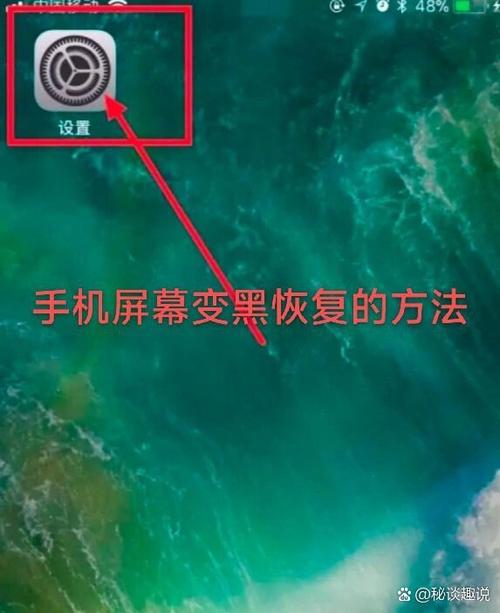 苹果12显示黑屏快速恢复