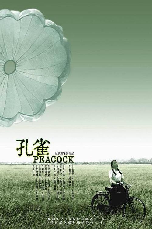 2005年上映的孔雀百度云资源