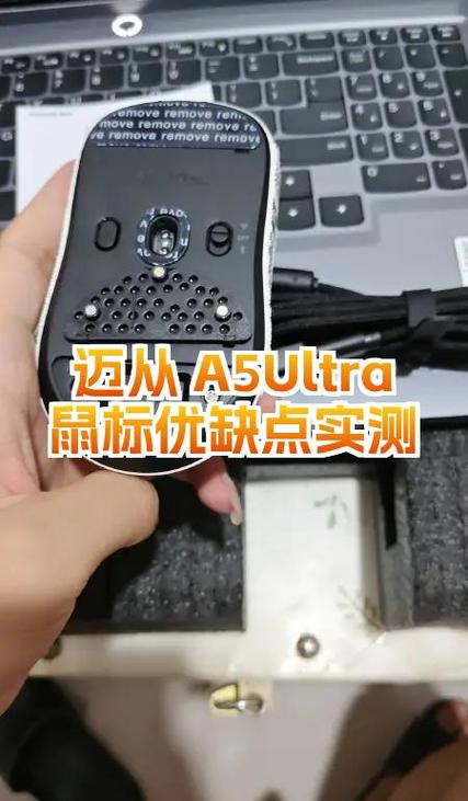 鼠标应该看哪些参数