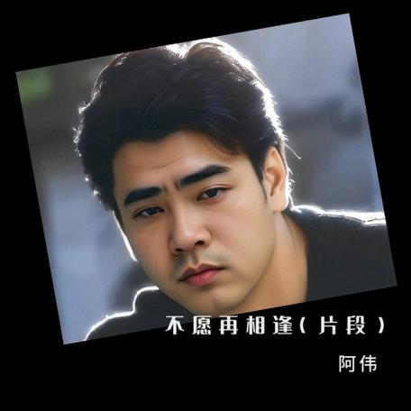 阿伟演唱歌曲缩略图