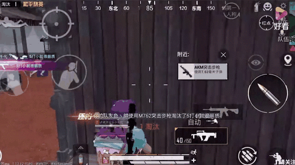 什么叫双人四排