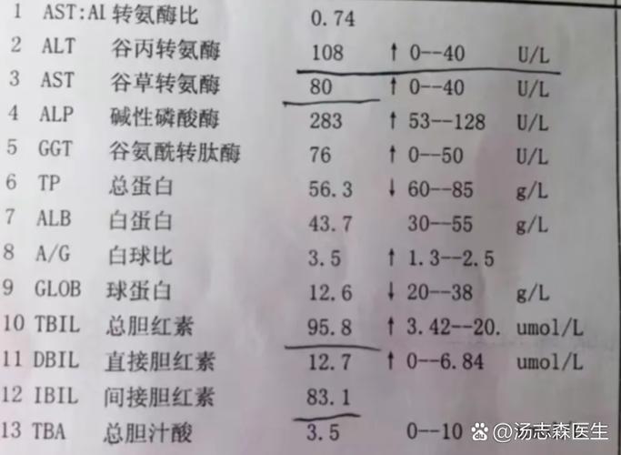 谷丙转氨酶的正常值