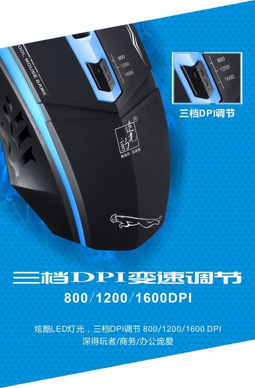 追光豹官网入口