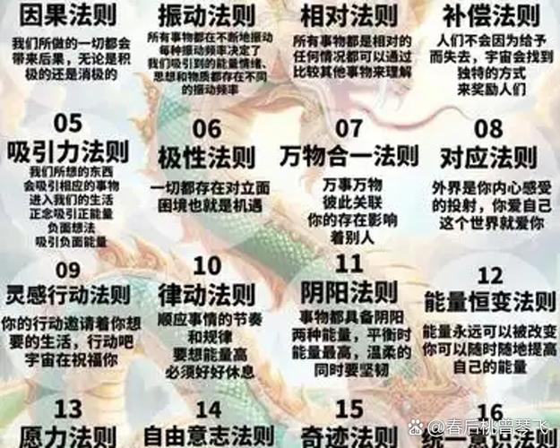 智慧与能量的关系区别