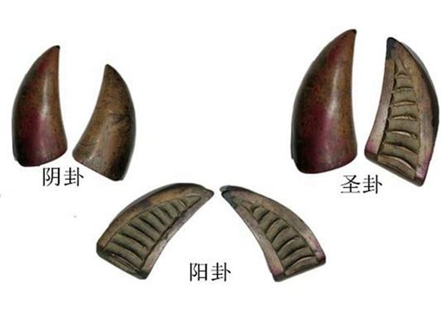 阴阴阳是什么卦