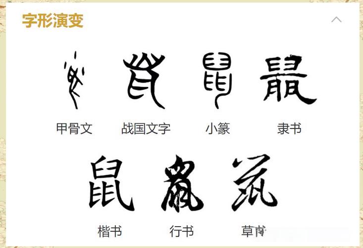十二生肖象形字全图