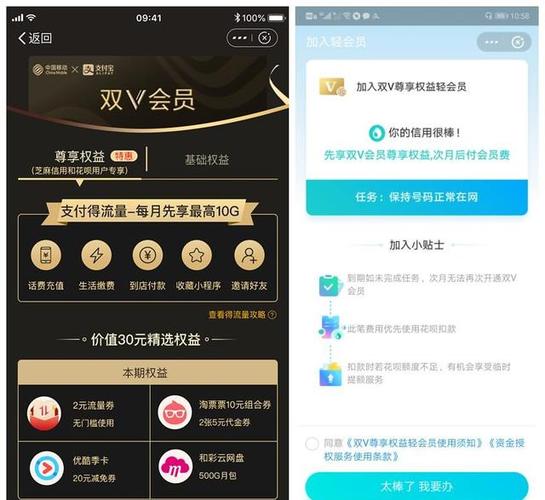支付宝双v轻会员