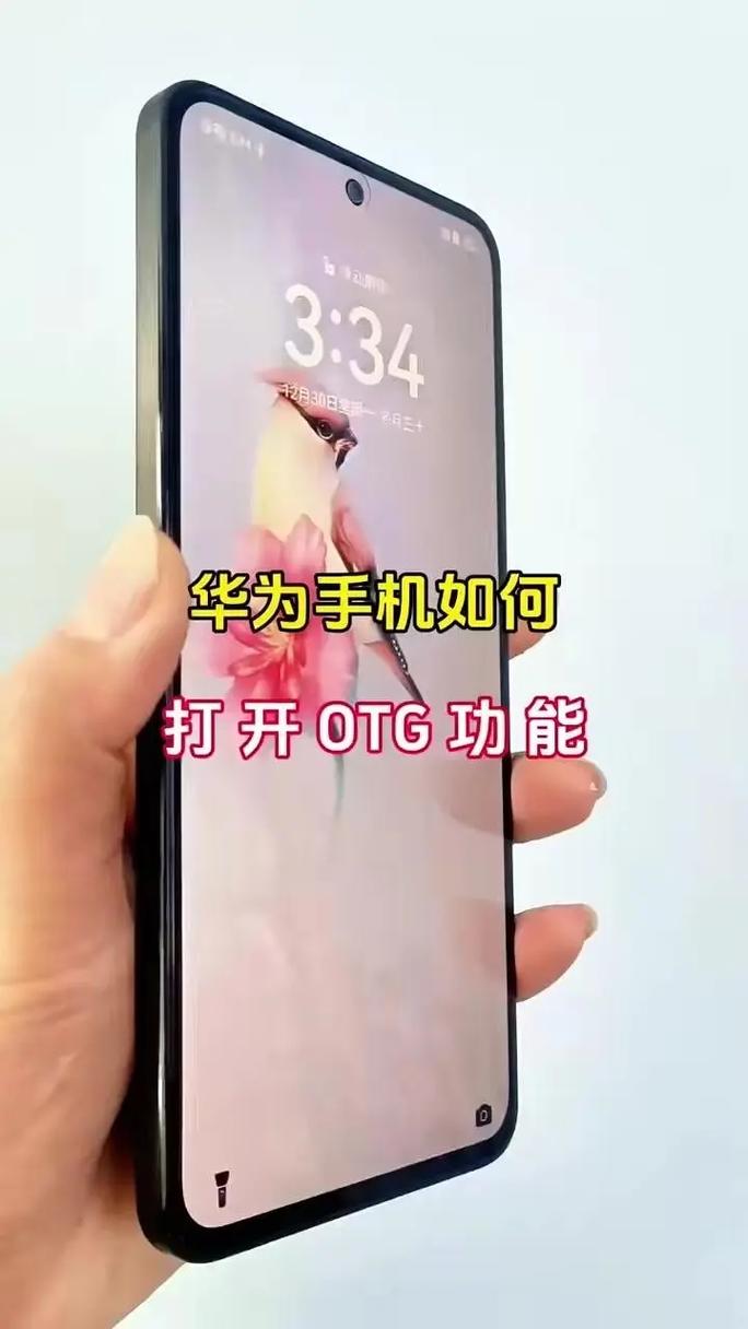 华为p30的ot g功能在哪里