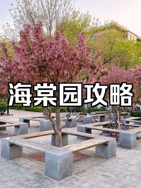 海棠区在哪