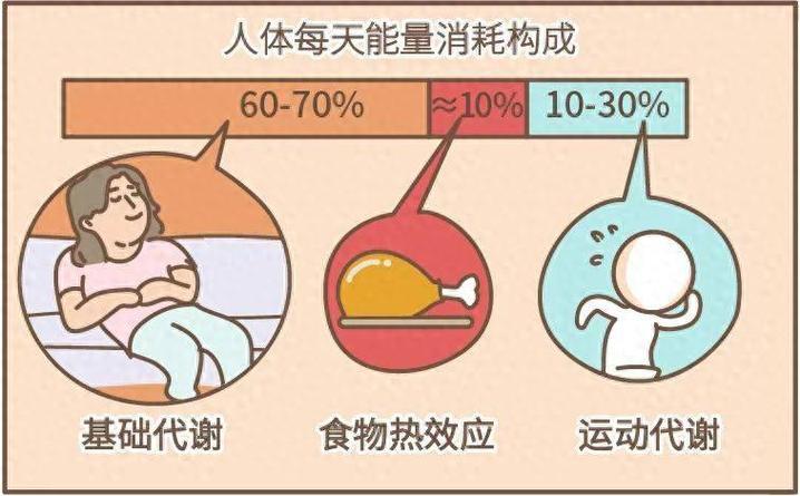 生理期热量消耗更多吗