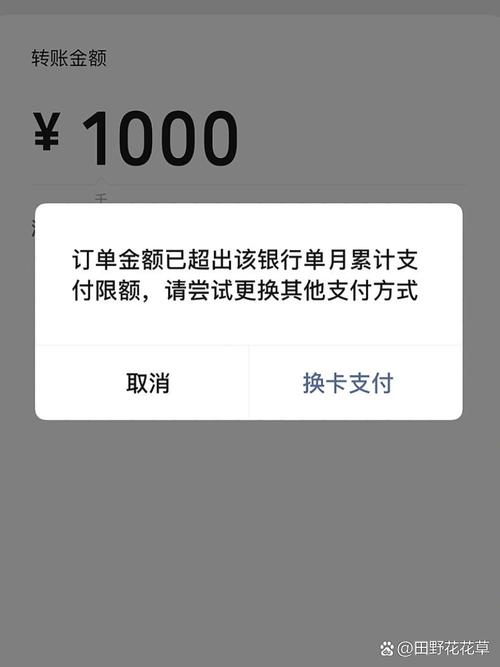 建设银行龙卡一类卡转账限额?