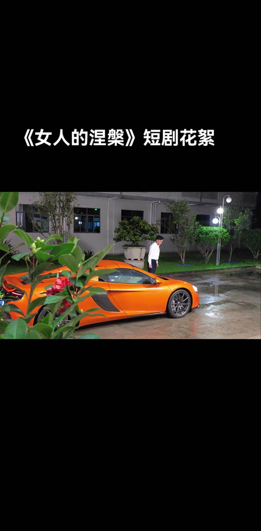 章鱼求偶指南by玫瑰女侠TXT