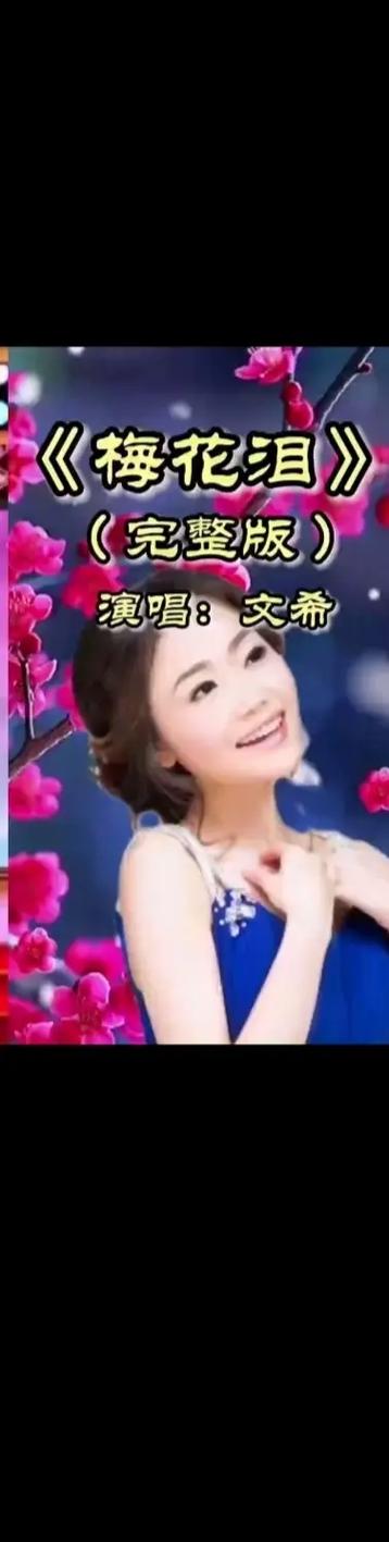 梅花泪歌曲原唱缩略图