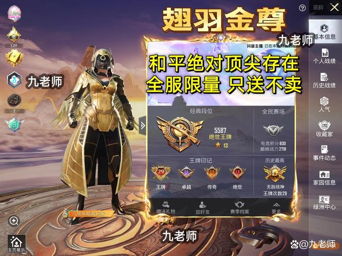 免费下载安装皮肤大佬缩略图