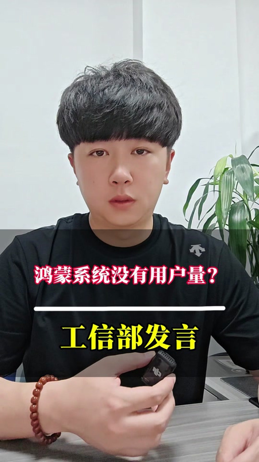 鸿蒙系统花了多少钱研发