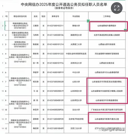 网信队伍名单