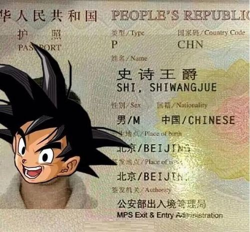 王者荣耀用家长身份证