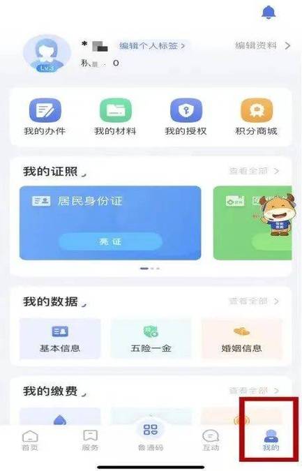 我那个电子证照怎么打不开了